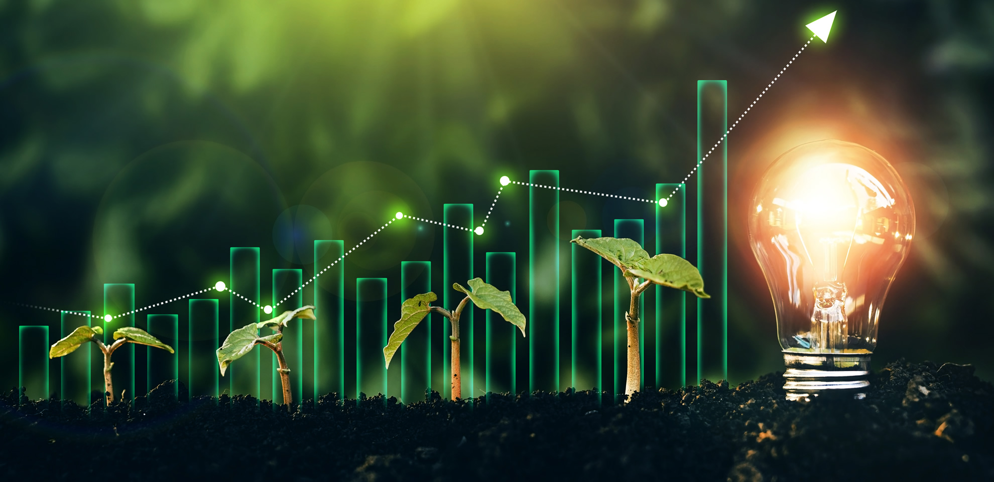 Lightbulb and seedlings illustrating sustainable growth